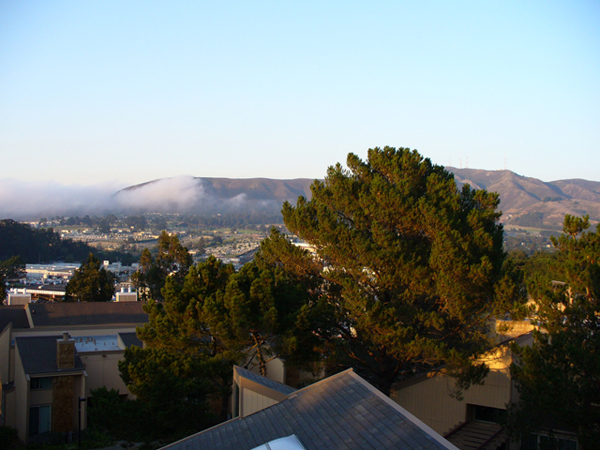 P1000548