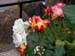 Annes_7